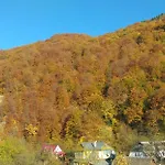 Kipreya Holiday home Yaremche