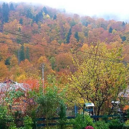 Kipreya Tatil Evi *