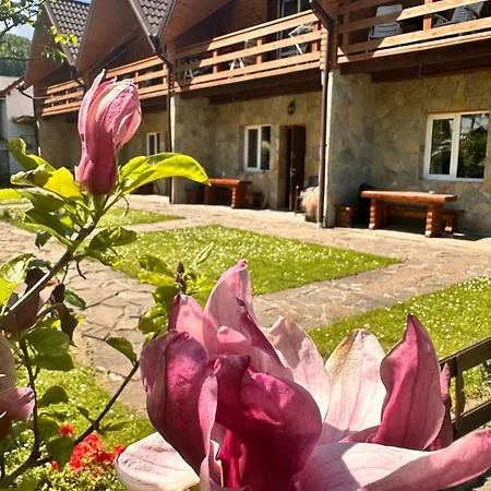 Kipreya Holiday home Yaremche