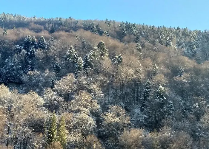 Kipreya Дом отдыха *