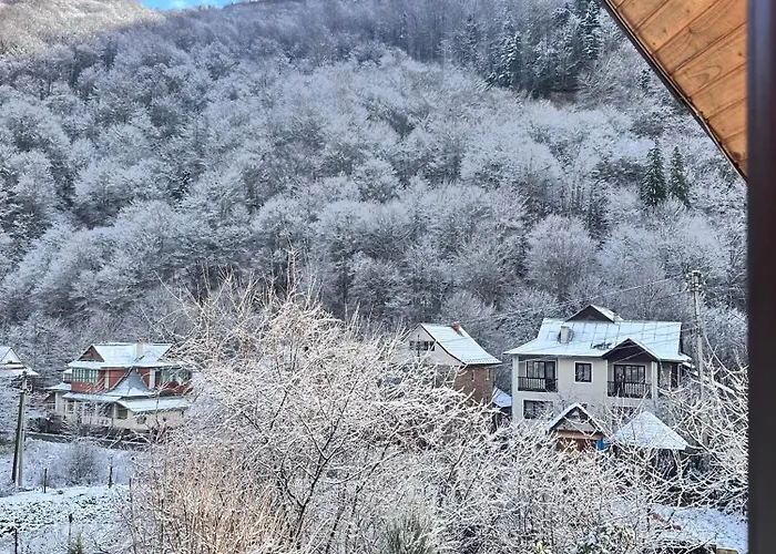Kipreya Vakantiehuis *