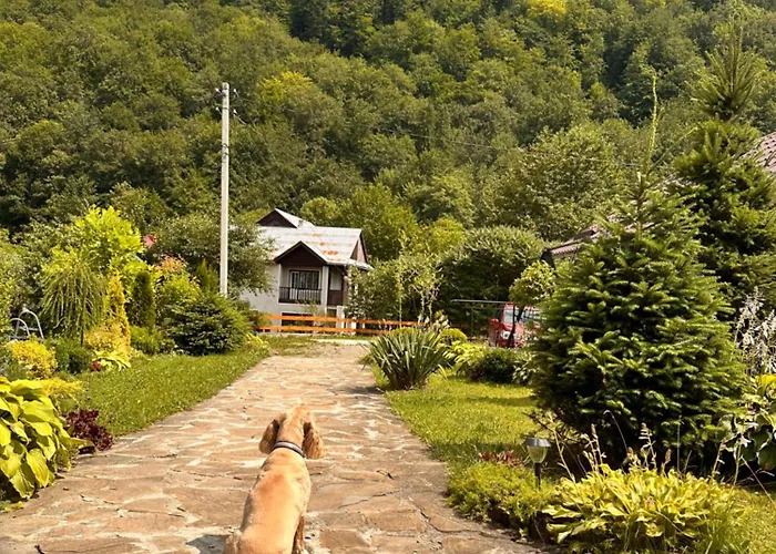 Kipreya Vakantiehuis *