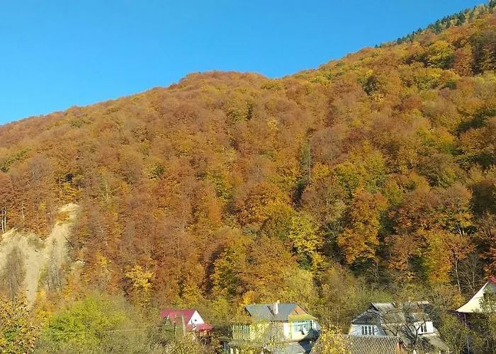 Kipreya Vakantiehuis Jaremtsje