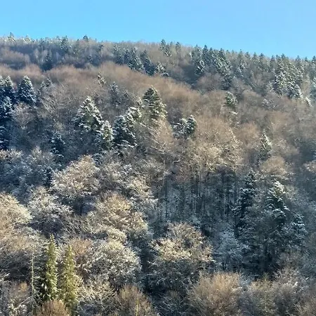 Kipreya Prázdninový dům *
